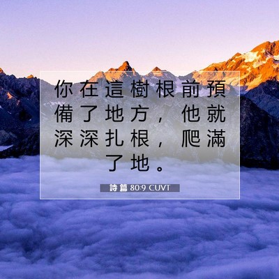 Picture 07 - 詩 篇 80:9 CUVT - 你 在 這 樹 根 前 預 備 了 地 方 ， - Bible Verse Picture