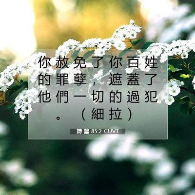 Picture 07 - 詩 篇 85:2 CUVT - 你 赦 免 了 你 百 姓 的 罪 孽 ， 遮 - Bible Verse Picture