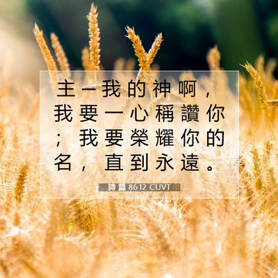 Picture 07 - 詩 篇 86:12 CUVT - 主 ─ 我 的 神 啊 ， 我 要 一 心 稱 - Bible Verse Picture