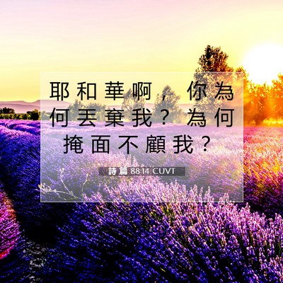 Picture 07 - 詩 篇 88:14 CUVT - 耶 和 華 啊 ， 你 為 何 丟 棄 我 ？ - Bible Verse Picture