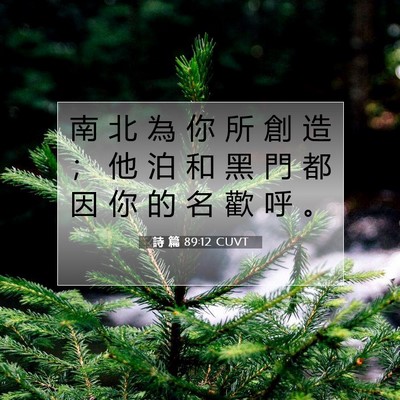 Picture 07 - 詩 篇 89:12 CUVT - 南 北 為 你 所 創 造 ； 他 泊 和 黑 - Bible Verse Picture