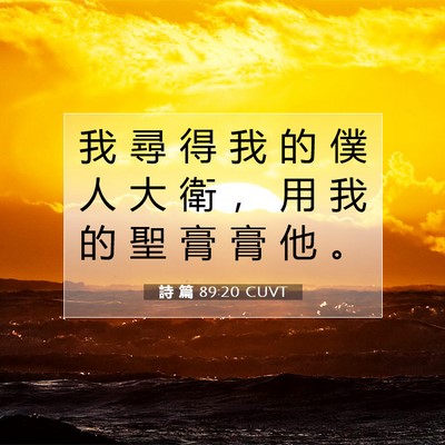 Picture 07 - 詩 篇 89:20 CUVT - 我 尋 得 我 的 僕 人 大 衛 ， 用 我 - Bible Verse Picture