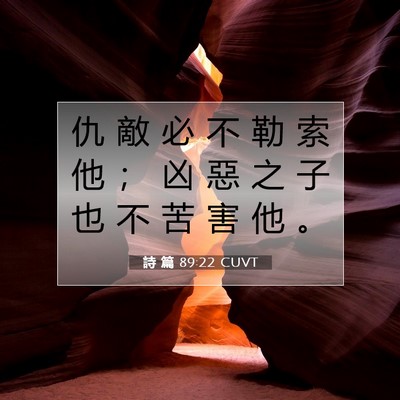 Picture 07 - 詩 篇 89:22 CUVT - 仇 敵 必 不 勒 索 他 ； 凶 惡 之 子 - Bible Verse Picture