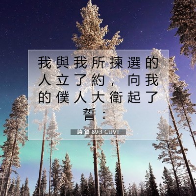 Picture 07 - 詩 篇 89:3 CUVT - 我 與 我 所 揀 選 的 人 立 了 約 ， - Bible Verse Picture