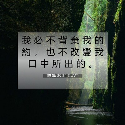 Picture 07 - 詩 篇 89:34 CUVT - 我 必 不 背 棄 我 的 約 ， 也 不 改 - Bible Verse Picture