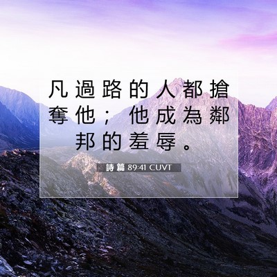 Picture 07 - 詩 篇 89:41 CUVT - 凡 過 路 的 人 都 搶 奪 他 ； 他 成 - Bible Verse Picture