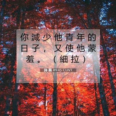 Picture 07 - 詩 篇 89:45 CUVT - 你 減 少 他 青 年 的 日 子 ， 又 使 - Bible Verse Picture