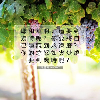 Picture 07 - 詩 篇 89:46 CUVT - 耶 和 華 啊 ， 這 要 到 幾 時 呢 ？ - Bible Verse Picture