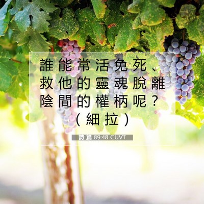 Picture 07 - 詩 篇 89:48 CUVT - 誰 能 常 活 免 死 、 救 他 的 靈 魂 - Bible Verse Picture
