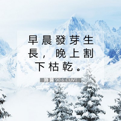 Picture 07 - 詩 篇 90:6 CUVT - 早 晨 發 芽 生 長 ， 晚 上 割 下 枯 - Bible Verse Picture