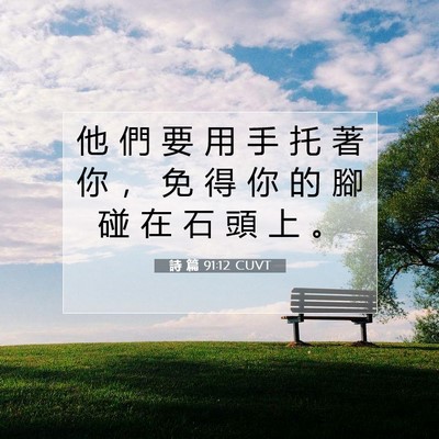 Picture 07 - 詩 篇 91:12 CUVT - 他 們 要 用 手 托 著 你 ， 免 得 你 - Bible Verse Picture