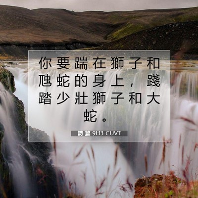 Picture 07 - 詩 篇 91:13 CUVT - 你 要 踹 在 獅 子 和 虺 蛇 的 身 上 - Bible Verse Picture