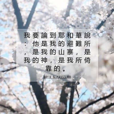 Picture 07 - 詩 篇 91:2 CUVT - 我 要 論 到 耶 和 華 說 ： 他 是 我 - Bible Verse Picture