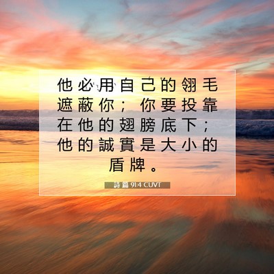 Picture 07 - 詩 篇 91:4 CUVT - 他 必 用 自 己 的 翎 毛 遮 蔽 你 ； - Bible Verse Picture