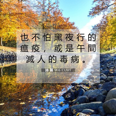 Picture 07 - 詩 篇 91:6 CUVT - 也 不 怕 黑 夜 行 的 瘟 疫 ， 或 是 - Bible Verse Picture