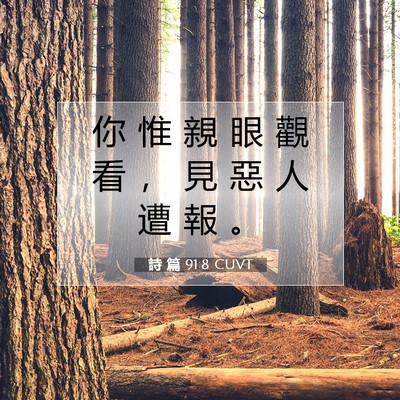 Picture 07 - 詩 篇 91:8 CUVT - 你 惟 親 眼 觀 看 ， 見 惡 人 遭 報 - Bible Verse Picture