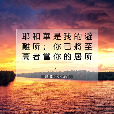 Picture 07 - 詩 篇 91:9 CUVT - 耶 和 華 是 我 的 避 難 所 ； 你 已 - Bible Verse Picture