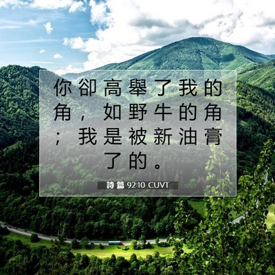 Picture 07 - 詩 篇 92:10 CUVT - 你 卻 高 舉 了 我 的 角 ， 如 野 牛 - Bible Verse Picture