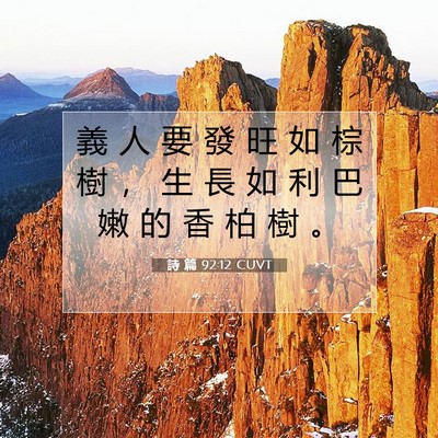 Picture 07 - 詩 篇 92:12 CUVT - 義 人 要 發 旺 如 棕 樹 ， 生 長 如 - Bible Verse Picture