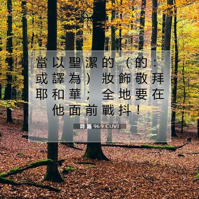 Picture 07 - 詩 篇 96:9 CUVT - 當 以 聖 潔 的 （ 的 ： 或 譯 為 ） - Bible Verse Picture