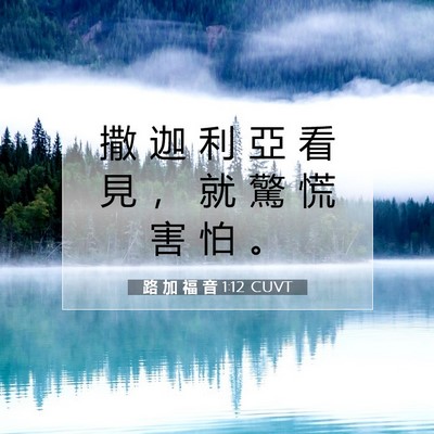 Picture 07 - 路 加 福 音 1:12 CUVT - 撒 迦 利 亞 看 見 ， 就 驚 慌 害 怕 - Bible Verse Picture