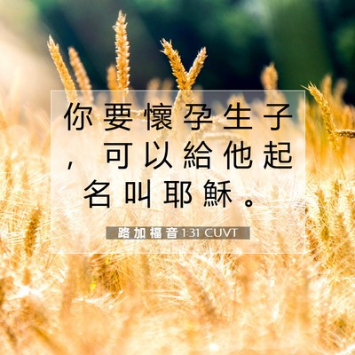 Picture 07 - 路 加 福 音 1:31 CUVT - 你 要 懷 孕 生 子 ， 可 以 給 他 起 - Bible Verse Picture