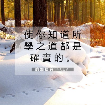 Picture 07 - 路 加 福 音 1:4 CUVT - 使 你 知 道 所 學 之 道 都 是 確 實 - Bible Verse Picture