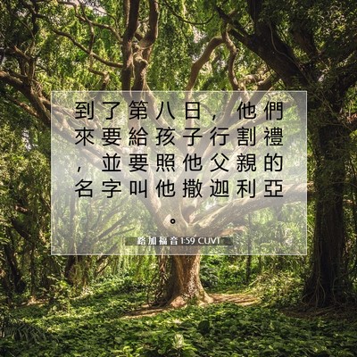 Picture 07 - 路 加 福 音 1:59 CUVT - 到 了 第 八 日 ， 他 們 來 要 給 孩 - Bible Verse Picture