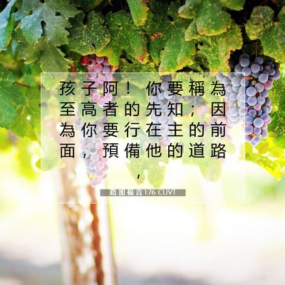 Picture 07 - 路 加 福 音 1:76 CUVT - 孩 子 阿 ！ 你 要 稱 為 至 高 者 的 - Bible Verse Picture