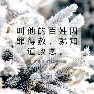 Picture 07 - 路 加 福 音 1:77 CUVT - 叫 他 的 百 姓 因 罪 得 赦 ， 就 知 - Bible Verse Picture