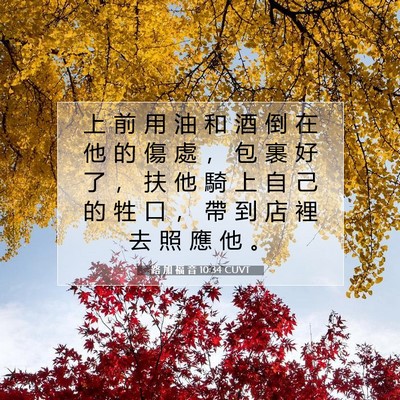 Picture 07 - 路 加 福 音 10:34 CUVT - 上 前 用 油 和 酒 倒 在 他 的 傷 處 - Bible Verse Picture