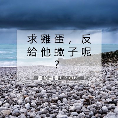 Picture 07 - 路 加 福 音 11:12 CUVT - 求 雞 蛋 ， 反 給 他 蠍 子 呢 - Bible Verse Picture