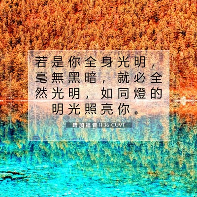 Picture 07 - 路 加 福 音 11:36 CUVT - 若 是 你 全 身 光 明 ， 毫 無 黑 暗 - Bible Verse Picture