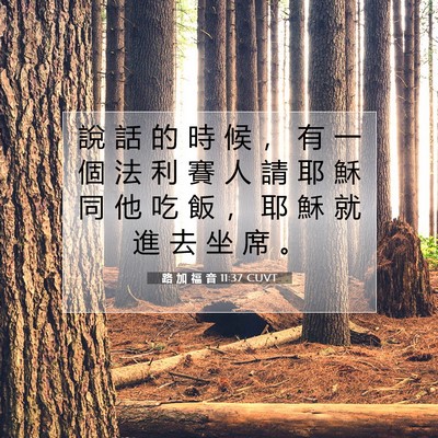 Picture 07 - 路 加 福 音 11:37 CUVT - 說 話 的 時 候 ， 有 一 個 法 利 賽 - Bible Verse Picture