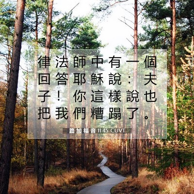 Picture 07 - 路 加 福 音 11:45 CUVT - 律 法 師 中 有 一 個 回 答 耶 穌 說 - Bible Verse Picture