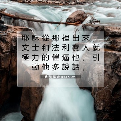 Picture 07 - 路 加 福 音 11:53 CUVT - 耶 穌 從 那 裡 出 來 ， 文 士 和 法 - Bible Verse Picture