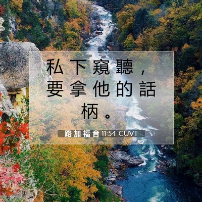 Picture 07 - 路 加 福 音 11:54 CUVT - 私 下 窺 聽 ， 要 拿 他 的 話 柄 - Bible Verse Picture