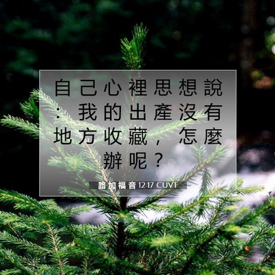 Picture 07 - 路 加 福 音 12:17 CUVT - 自 己 心 裡 思 想 說 ： 我 的 出 產 - Bible Verse Picture