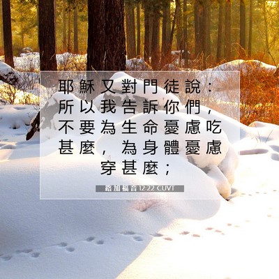 Picture 07 - 路 加 福 音 12:22 CUVT - 耶 穌 又 對 門 徒 說 ： 所 以 我 告 - Bible Verse Picture