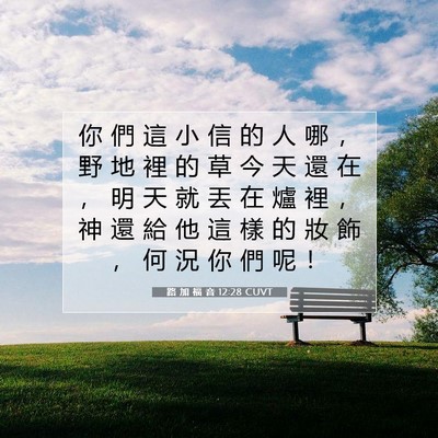 Picture 07 - 路 加 福 音 12:28 CUVT - 你 們 這 小 信 的 人 哪 ， 野 地 裡 - Bible Verse Picture