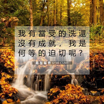 Picture 07 - 路 加 福 音 12:50 CUVT - 我 有 當 受 的 洗 還 沒 有 成 就 ， - Bible Verse Picture