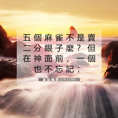 Picture 07 - 路 加 福 音 12:6 CUVT - 五 個 麻 雀 不 是 賣 二 分 銀 子 麼 - Bible Verse Picture