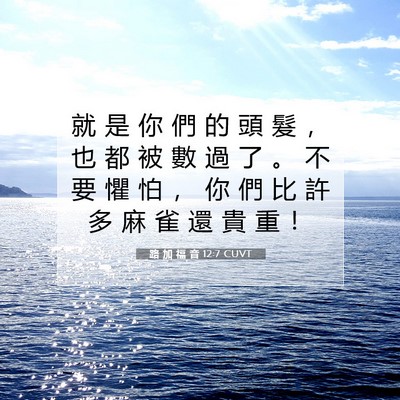 Picture 07 - 路 加 福 音 12:7 CUVT - 就 是 你 們 的 頭 髮 ， 也 都 被 數 - Bible Verse Picture