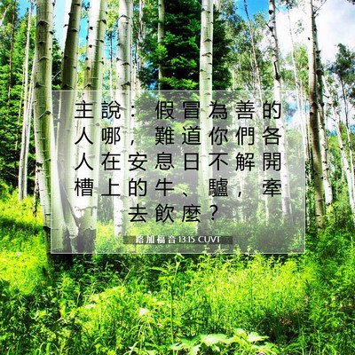 Picture 07 - 路 加 福 音 13:15 CUVT - 主 說 ： 假 冒 為 善 的 人 哪 ， 難 - Bible Verse Picture