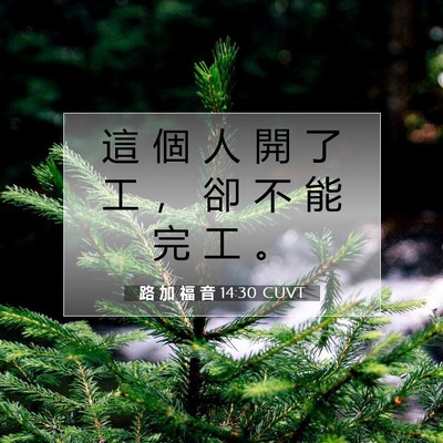 Picture 07 - 路 加 福 音 14:30 CUVT - 這 個 人 開 了 工 ， 卻 不 能 完 工 - Bible Verse Picture