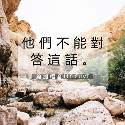 Picture 07 - 路 加 福 音 14:6 CUVT - 他 們 不 能 對 答 這 話 - Bible Verse Picture