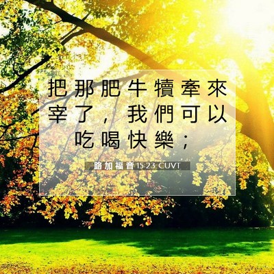 Picture 07 - 路 加 福 音 15:23 CUVT - 把 那 肥 牛 犢 牽 來 宰 了 ， 我 們 - Bible Verse Picture