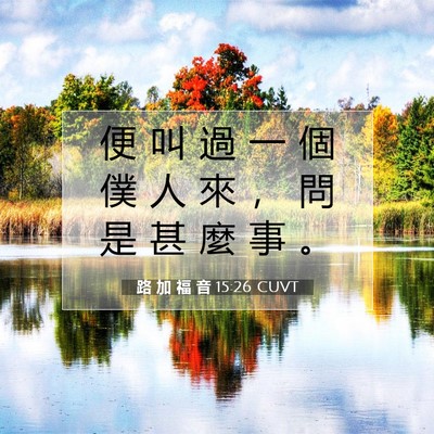 Picture 07 - 路 加 福 音 15:26 CUVT - 便 叫 過 一 個 僕 人 來 ， 問 是 甚 - Bible Verse Picture