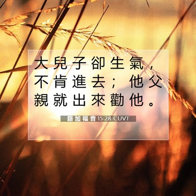 Picture 07 - 路 加 福 音 15:28 CUVT - 大 兒 子 卻 生 氣 ， 不 肯 進 去 ； - Bible Verse Picture
