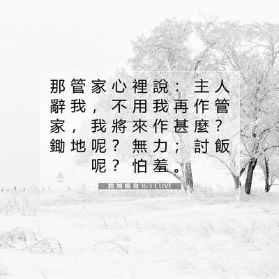 Picture 07 - 路 加 福 音 16:3 CUVT - 那 管 家 心 裡 說 ： 主 人 辭 我 ， - Bible Verse Picture
